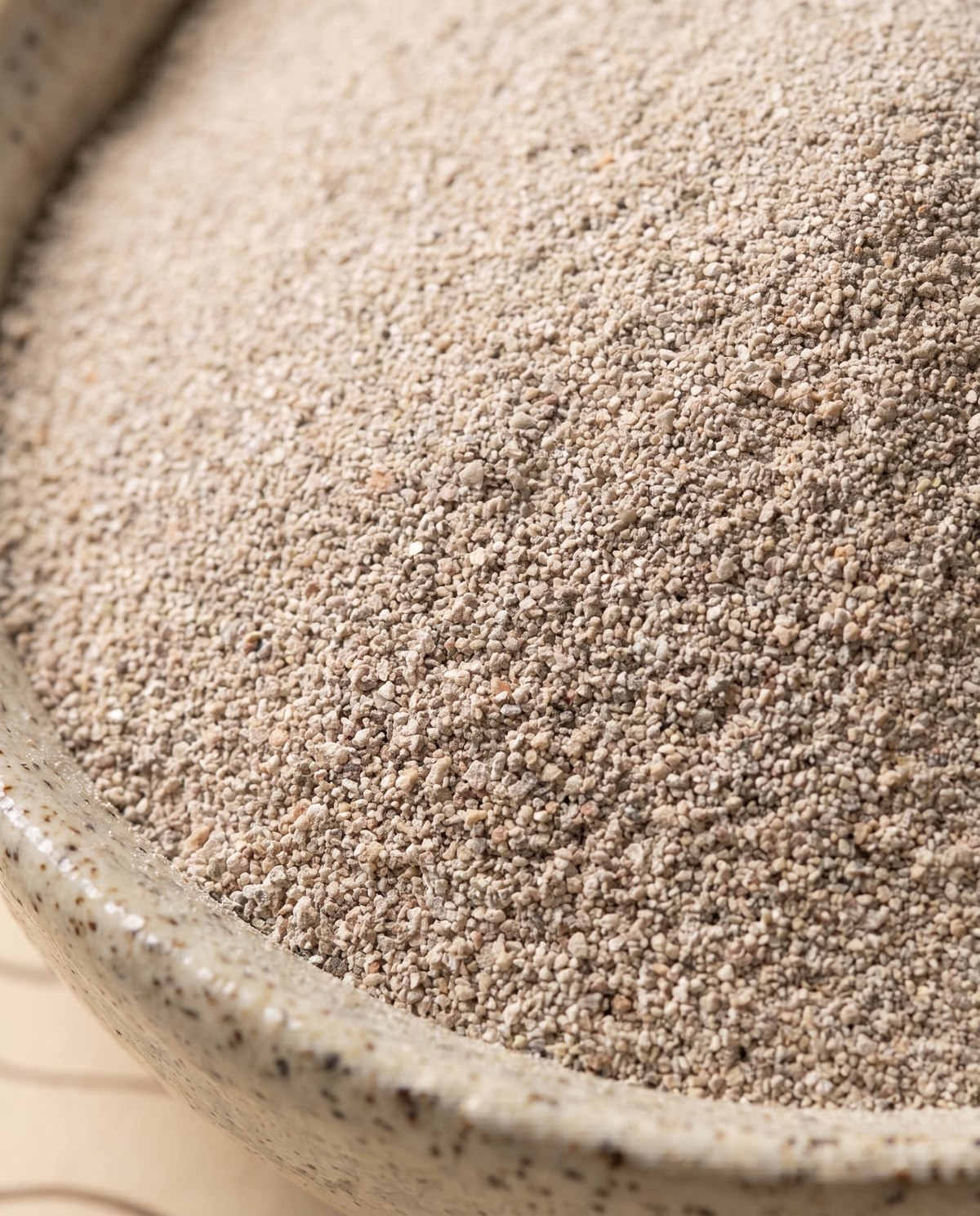 Pumice grit close-up